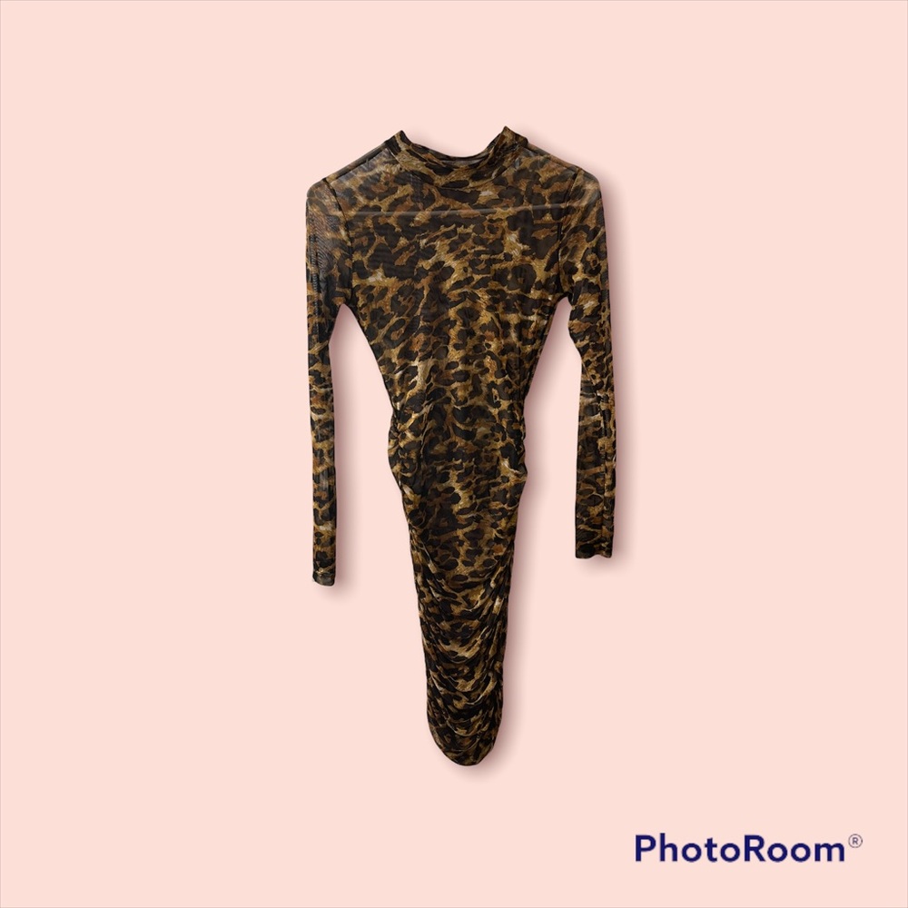 Sheer Leopard print Dress.